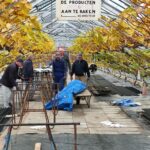 reparatie waterafvoer 01.12.2021